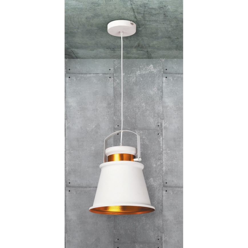 Rabalux 2571 - Pendel DUSAN E27/40W