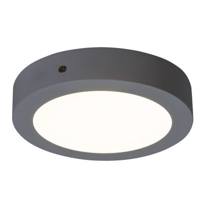 Rabalux - LED loftsbelysning LED/12W/230V