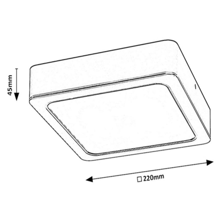 Rabalux - LED loftlampe LED/24W/230V 22x22 cm