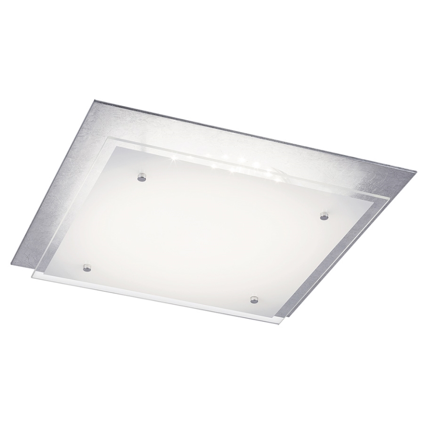 Rabalux - LED loftsbelysning 1xLED/24W/230V