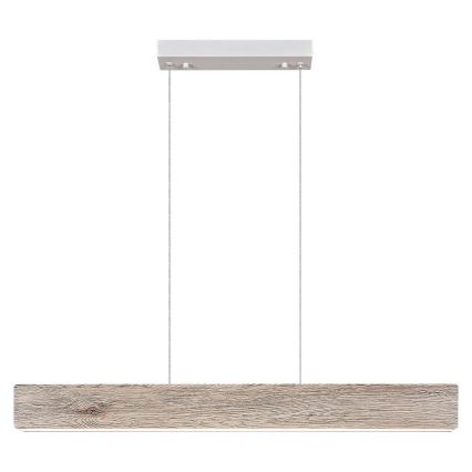Rabalux  - LED pendel LED/34W/230V