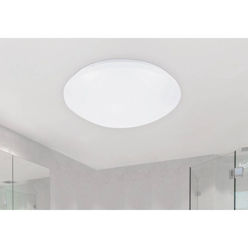 Rabalux - LED loftsbelysning 1xLED/24W/230V