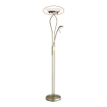 Rabalux 4078 - Reserveglas til gulvlampe GAMMA R7s stor