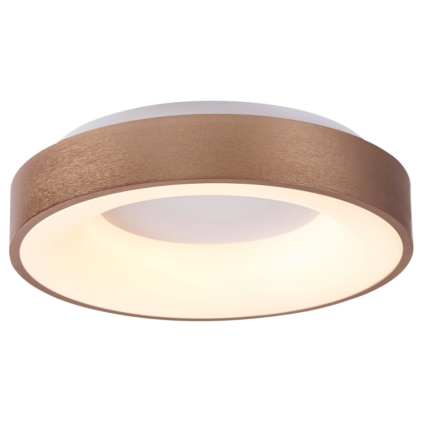 Rabalux 5052 - LED loftsbelysning CARMELA LED/30W/230V