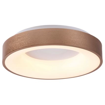 Rabalux 5053 - LED loftsbelysning CARMELA LED/50W/230V