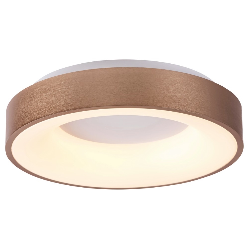 Rabalux 5053 - LED loftsbelysning CARMELA LED/50W/230V