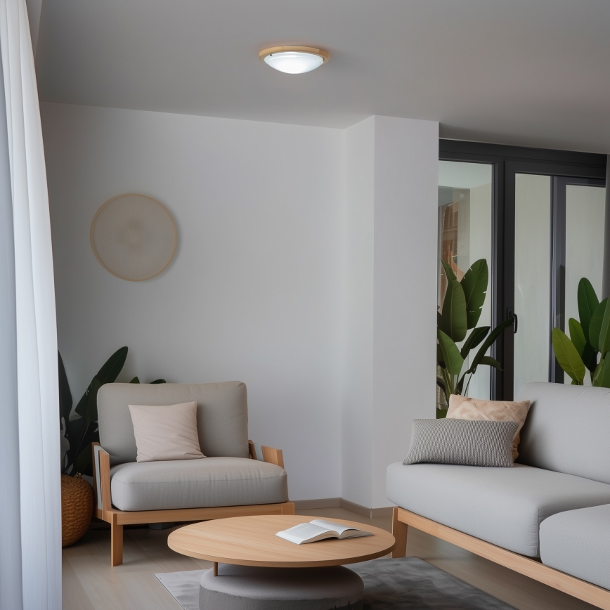 Rabalux - Loftlampe 1xE27/60W/230V diameter 30 cm