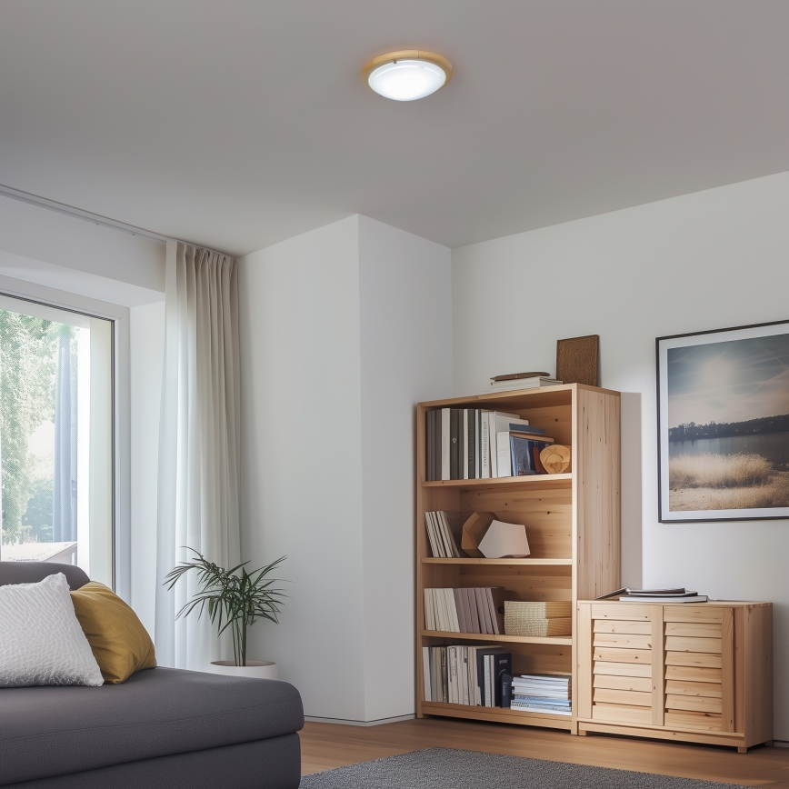 Rabalux - Loftlampe 1xE27/60W/230V diameter 30 cm