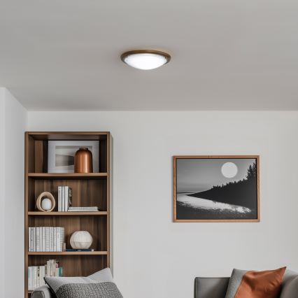 Rabalux - Loftlampe 1xE27/60W/230V diameter 30 cm