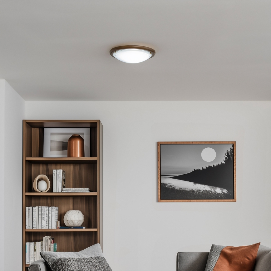 Rabalux - Loftlampe 1xE27/60W/230V diameter 30 cm
