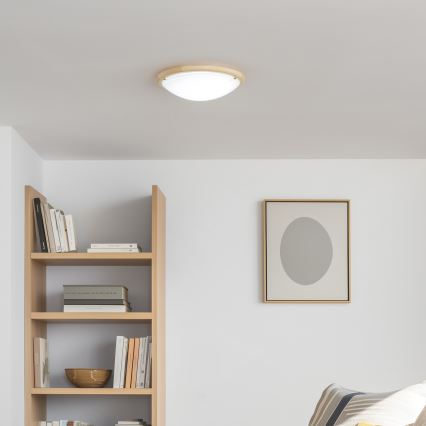 Rabalux - Loftlampe 2xE27/60W/230V diameter 38 cm