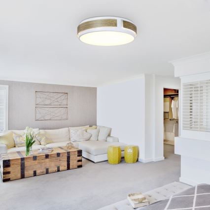 Rabalux - LED dæmpbar loftlampe LED/24W/230V Ø 42 cm