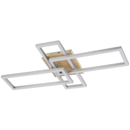 Rabalux - LED loftlampe LED/24W/230V