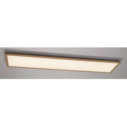 Rabalux - Overflademonteret LED panel LED/40W/230V 4000K