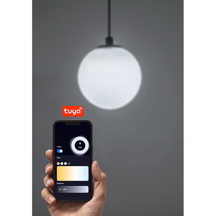 Rabalux - LED pendel dæmpbar til 1-faset skinnesystem LED/5W/24V 2700-5500K Wi-Fi Tuya sort
