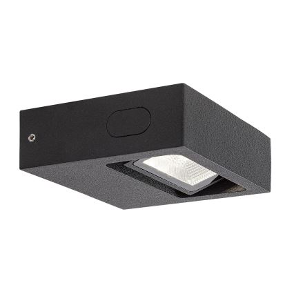 Rabalux - LED Udendørs Væglampe LED/7W/230V IP65