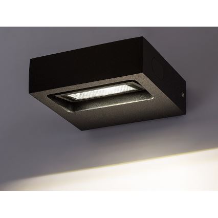 Rabalux - LED Udendørs Væglampe LED/7W/230V IP65