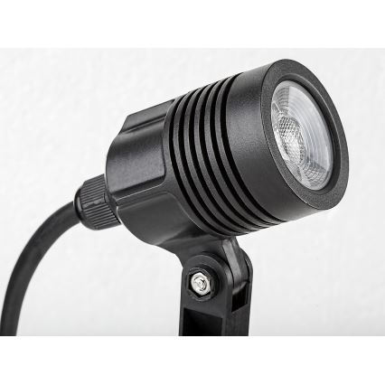 Rabalux - LED udendørslampe LED/3W/230V IP65