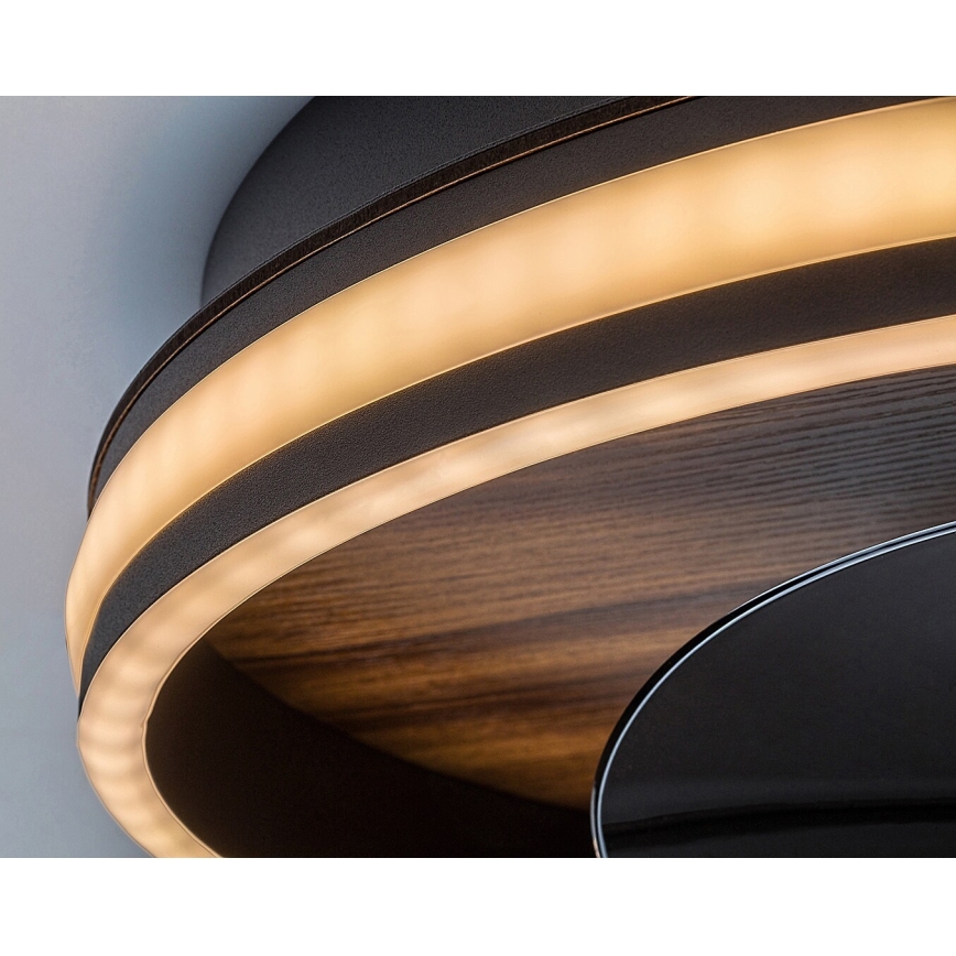Rabalux - LED loftlampe med ventilator dæmpbar LED/30W/230V 3000-6500K + fjernbetjening