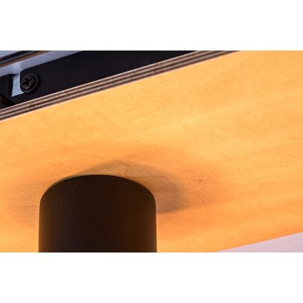 Rabalux - Loftlampe 3xE27/40W/230V