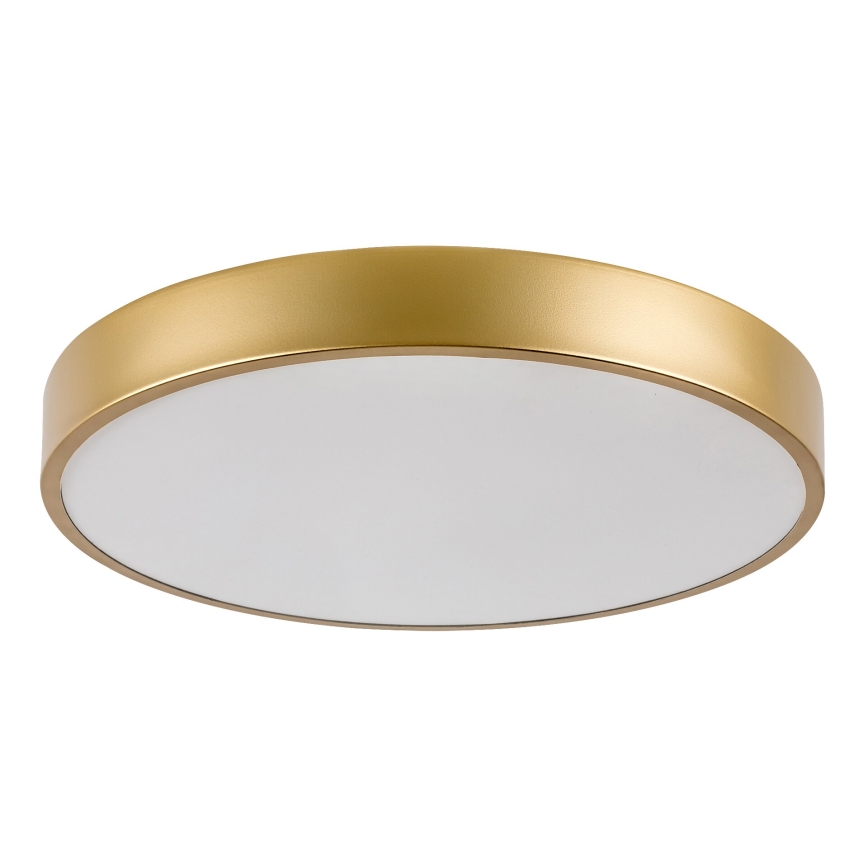 Rabalux - LED loftlampe LED/36W/230V 3000K