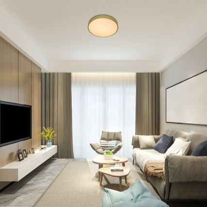 Rabalux - Dæmpbar LED-loftlampe LED/60W/230V 3000-6000K + fjernbetjening Ø 60 cm