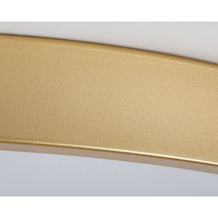 Rabalux - Dæmpbar LED-loftlampe LED/60W/230V 3000-6000K + fjernbetjening Ø 60 cm