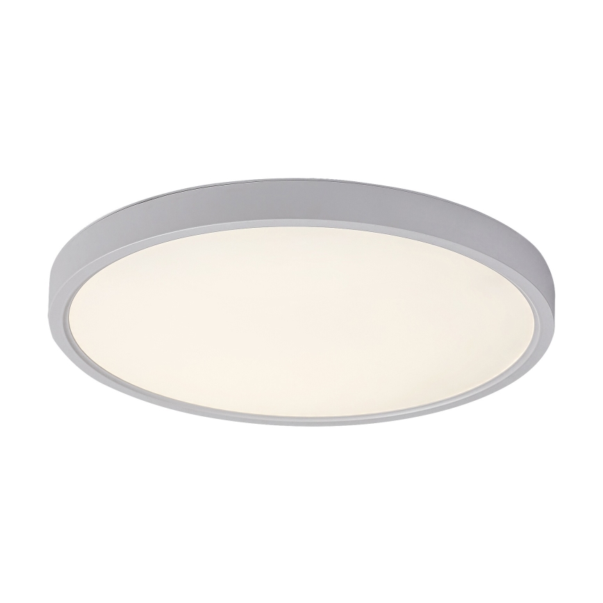 Rabalux - LED loftlampe LED/24W/230V 4000K diameter 30 cm hvid