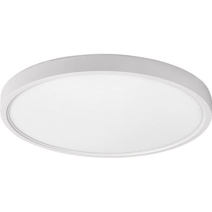 Rabalux - LED loftlampe LED/24W/230V 4000K diameter 30 cm hvid