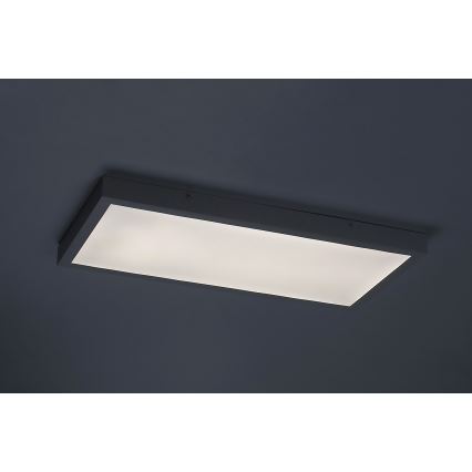 Rabalux - LED panel LED/24W/230V 4000K 60x30 cm