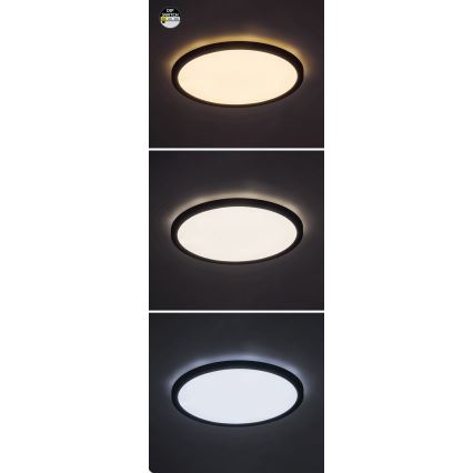 Rabalux - LED loftlampe LED/24W/230V 3000/4000/6000K diameter 29 cm sort