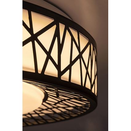 Rabalux - LED dæmpbar loftlampe LED/48W/230V 3000-6500K + fjernbetjening Ø 49 cm