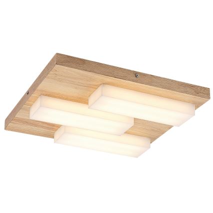 Rabalux - LED loftlampe LED/30W/230V 3000K eg