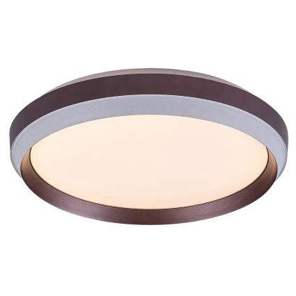 Rabalux - LED loftlampe LED/24W/230V 3000K
