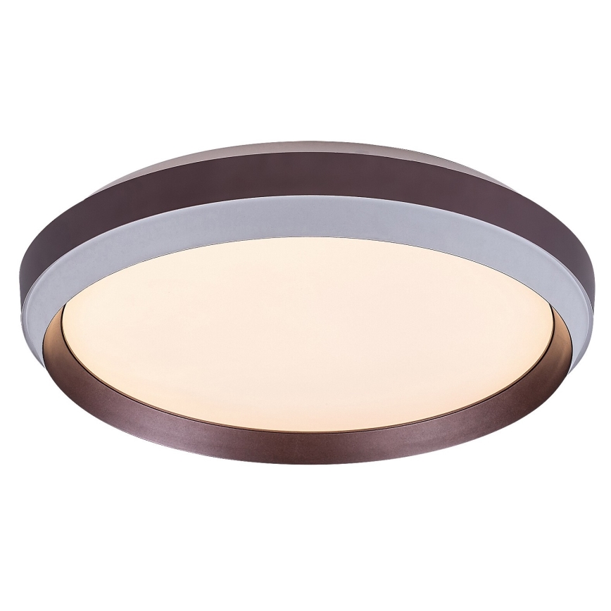Rabalux - LED loftlampe LED/24W/230V 3000K