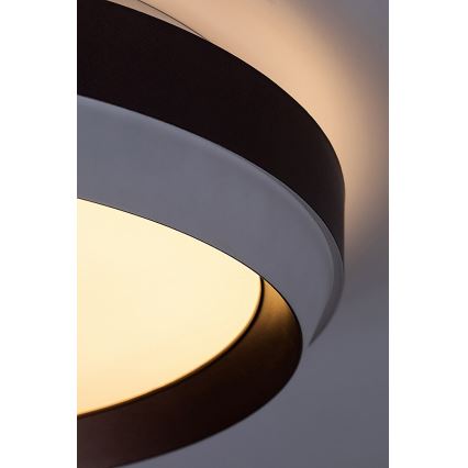 Rabalux - LED loftlampe LED/24W/230V 3000K
