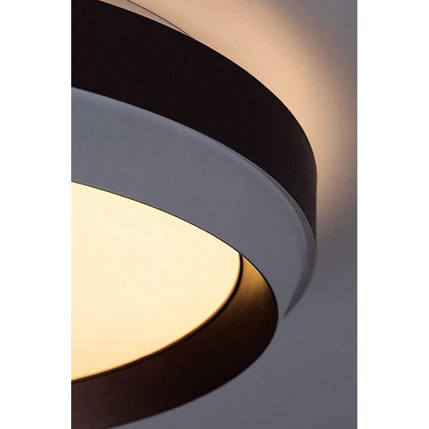 Rabalux - LED loftlampe LED/24W/230V 3000K