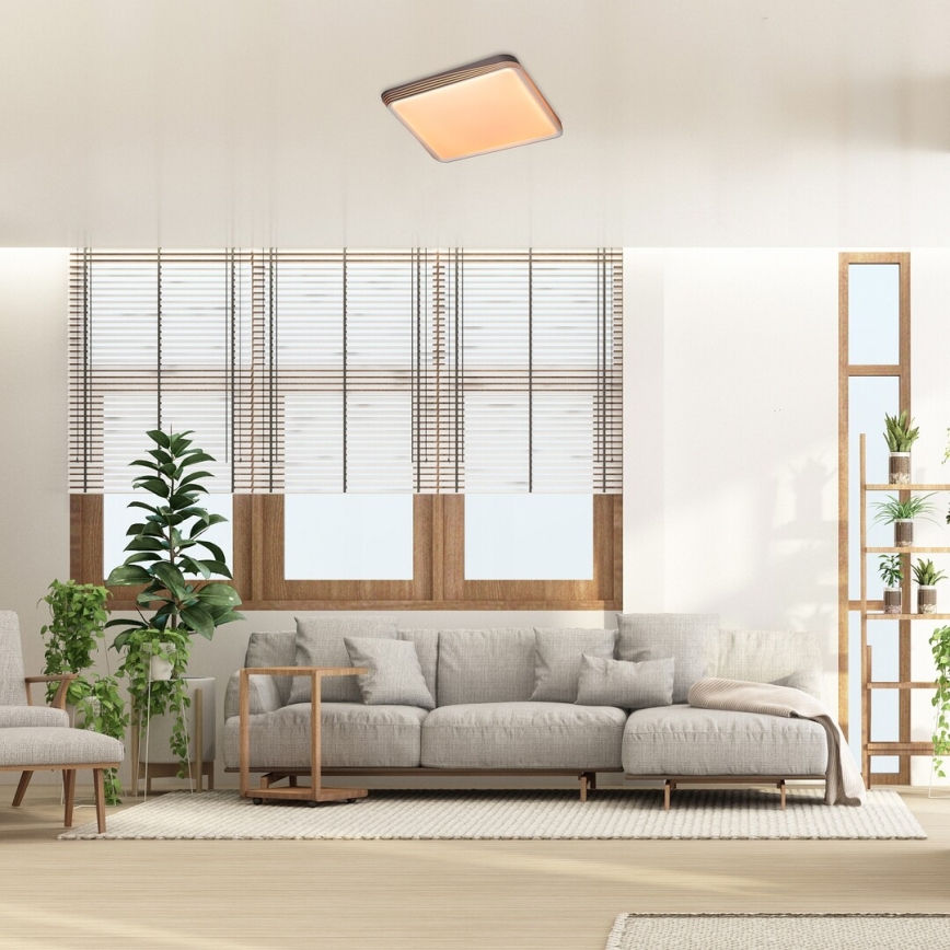Rabalux - LED loftlampe LED/40W/230V 3000K