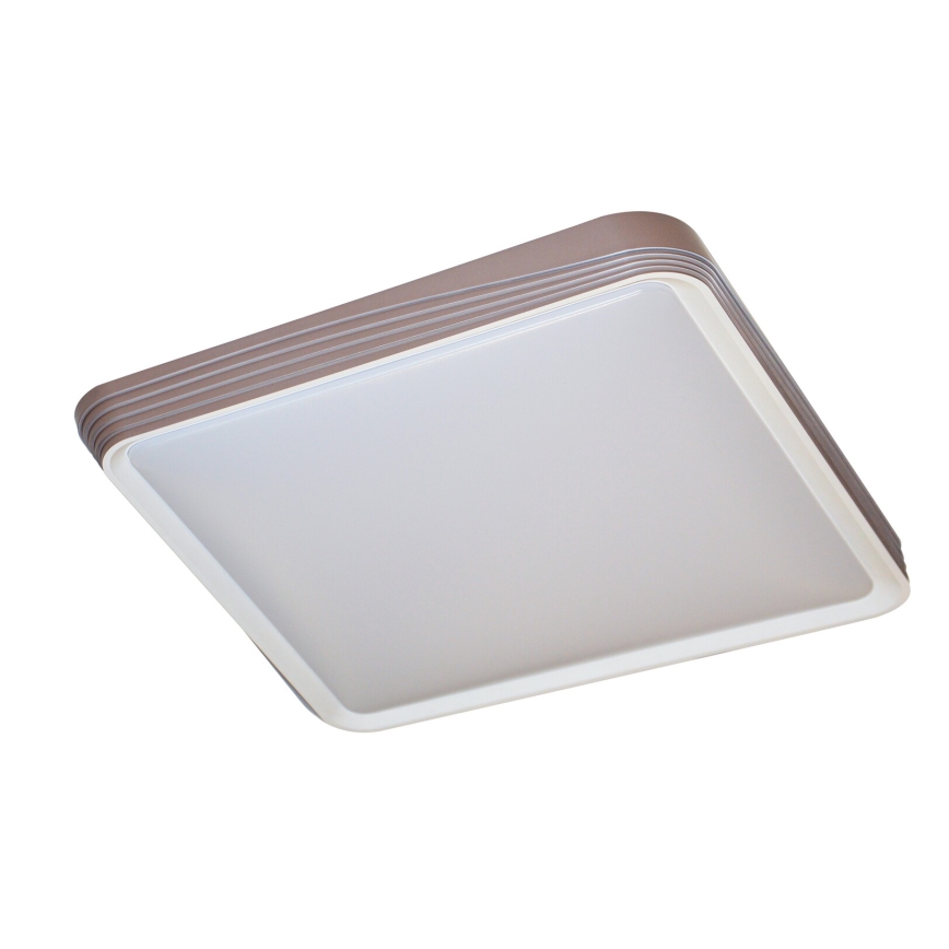 Rabalux - LED loftlampe LED/40W/230V 3000K