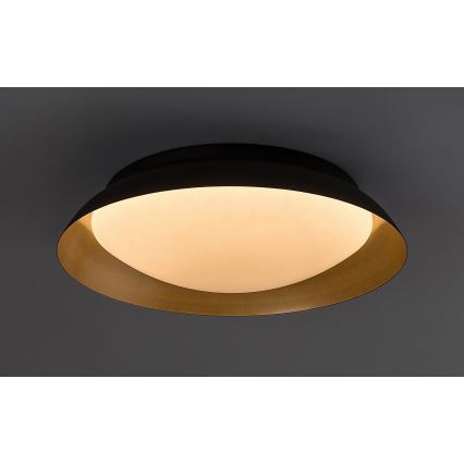 Rabalux - LED loftlampe LED/20W/230V 3000K diameter 30 cm
