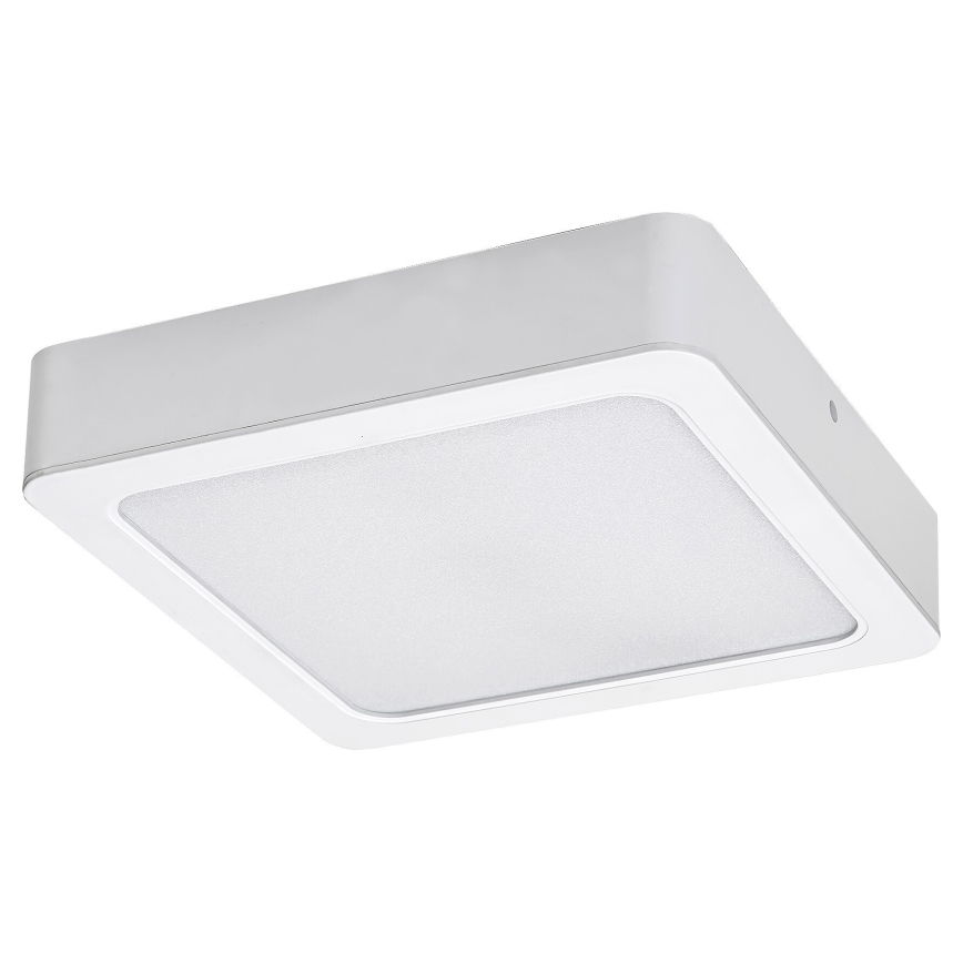 Rabalux - LED loftlampe LED/24W/230V 4000K 22x22 cm hvid