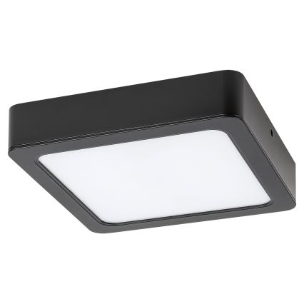 Rabalux - LED loftlampe LED/24W/230V 4000K 22x22 cm sort