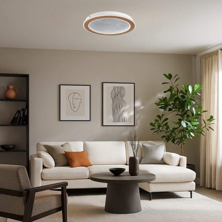 Rabalux - LED dæmpbar loftlampe LED/24W/230V 3000-6500K Ø 40 cm + fjernbetjening