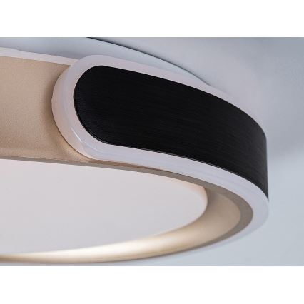Rabalux - LED loftlampe dæmpbar LED/48W/230V 3000-6500K + fjernbetjening