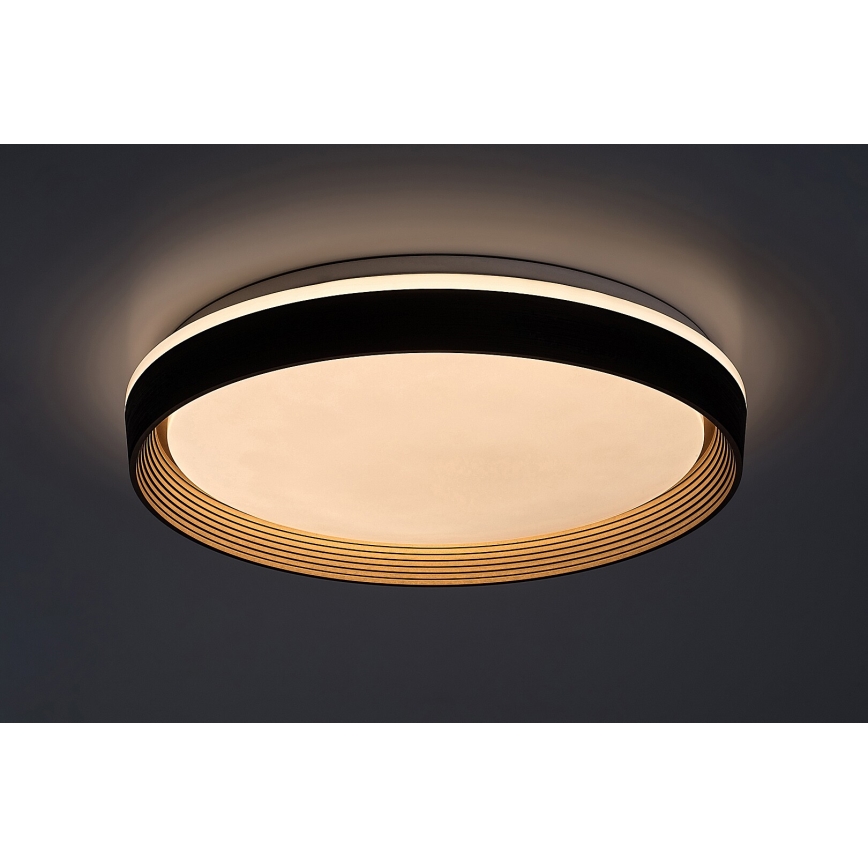 Rabalux - LED loftlampe dæmpbar LED/48W/230V 3000-6500K + fjernbetjening
