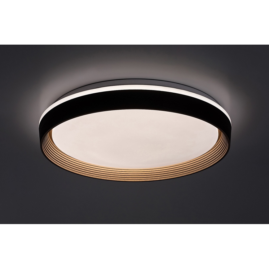 Rabalux - LED loftlampe dæmpbar LED/48W/230V 3000-6500K + fjernbetjening