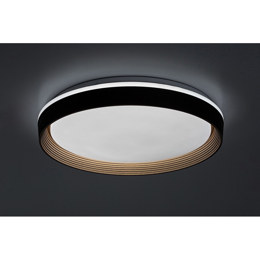 Rabalux - LED loftlampe dæmpbar LED/48W/230V 3000-6500K + fjernbetjening