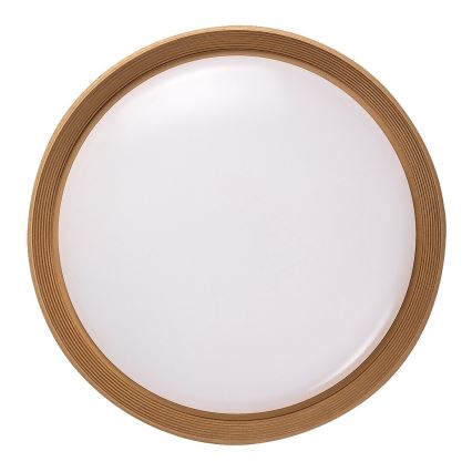 Rabalux - LED loftlampe dæmpbar LED/48W/230V 3000-6500K + fjernbetjening