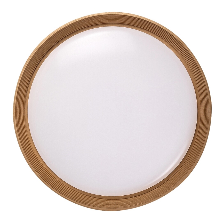 Rabalux - LED loftlampe dæmpbar LED/48W/230V 3000-6500K + fjernbetjening