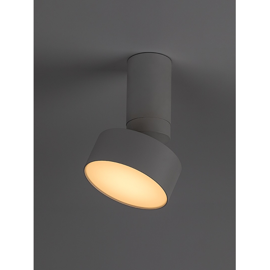 Rabalux - LED loftlampe LED/10W/230V 3000K hvid